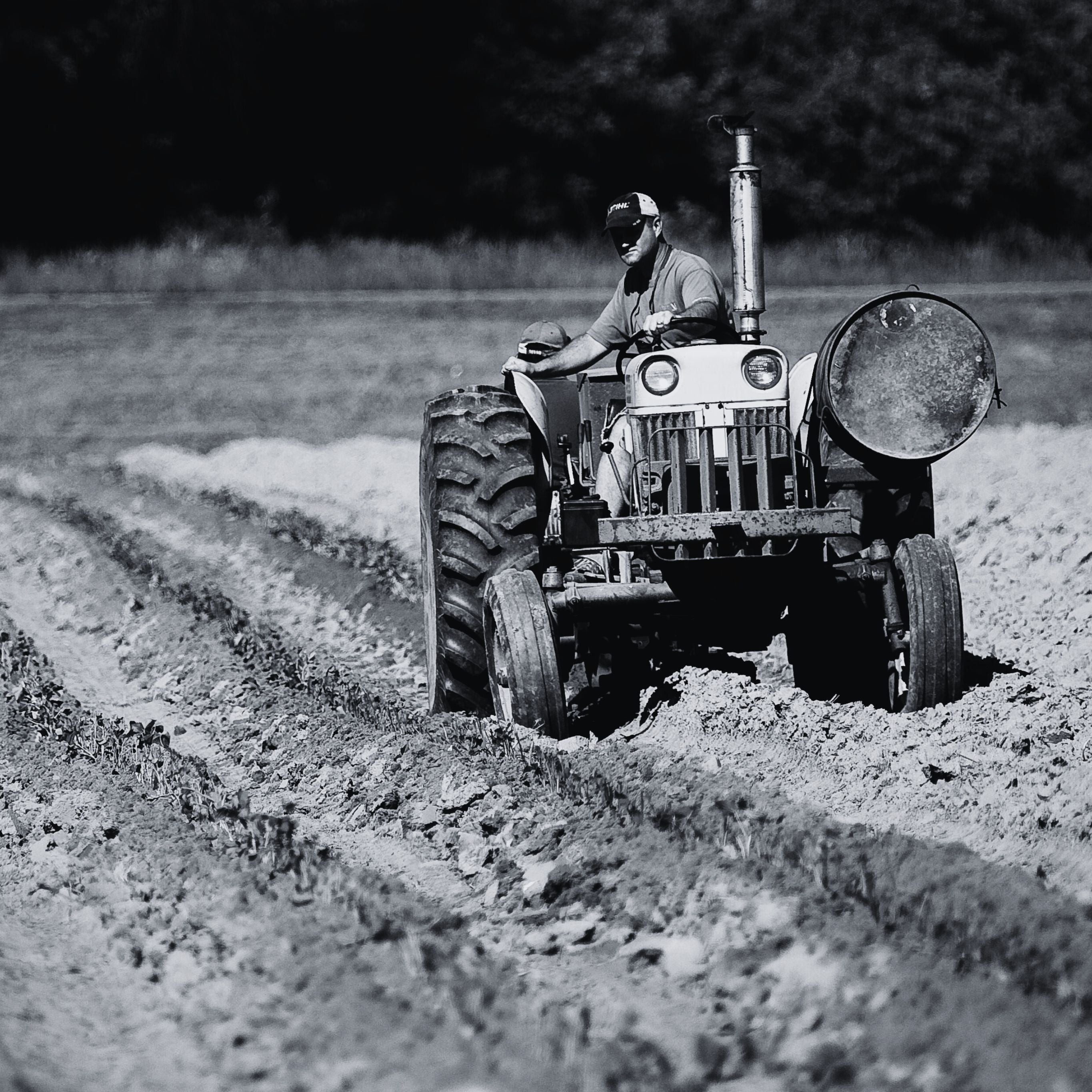 Agriculteurs dans un champ sur son tracteur