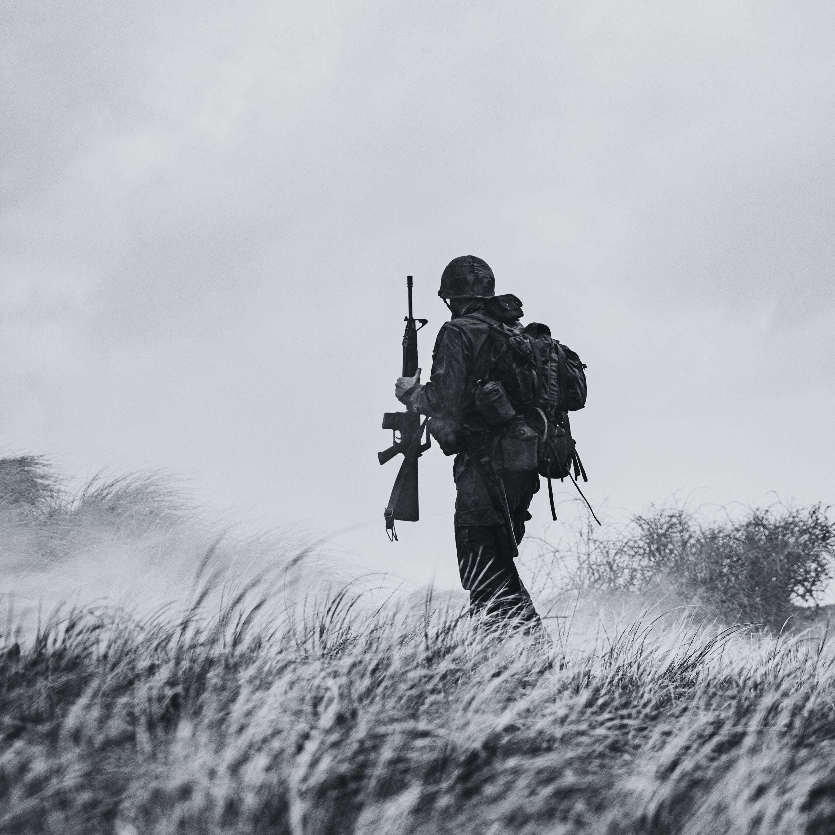 Militaire de dos dans une pâture